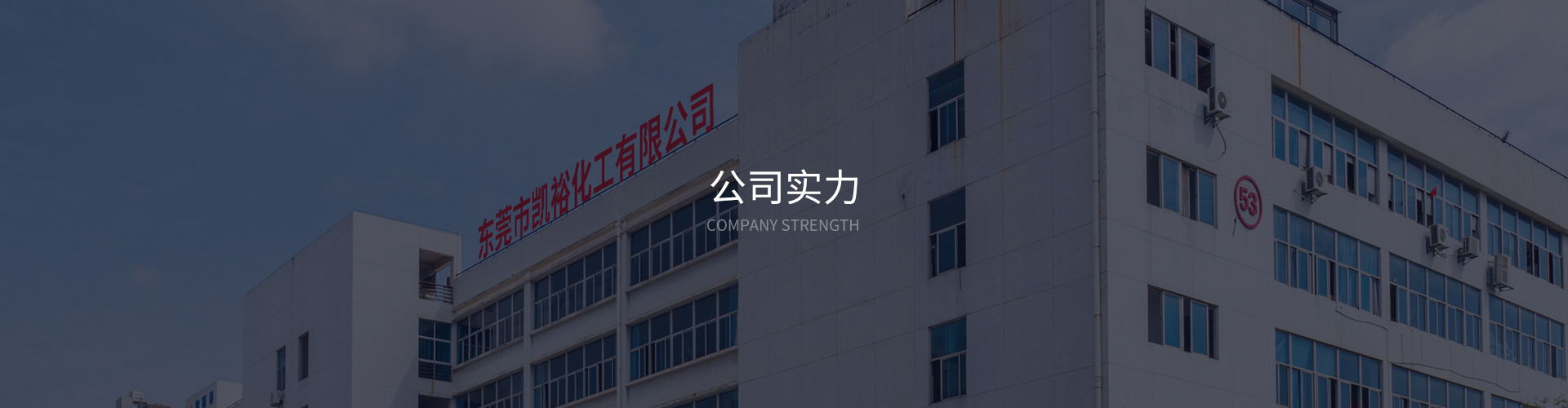 公司實力
